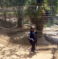 I thought this crocodile will jump on me